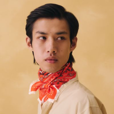 カレ 65 - メンズ シルクマフラー＆カシミヤストール | Hermès